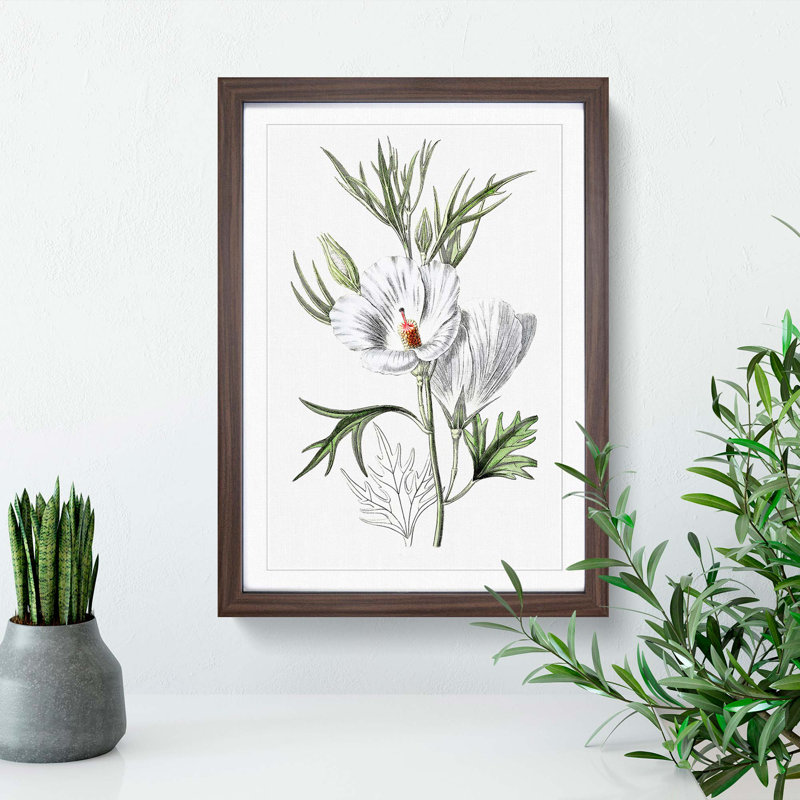White Hibiscus Flowers - Framed Print, 36cm H x 27cm W x 2cm D, Walnut Framed