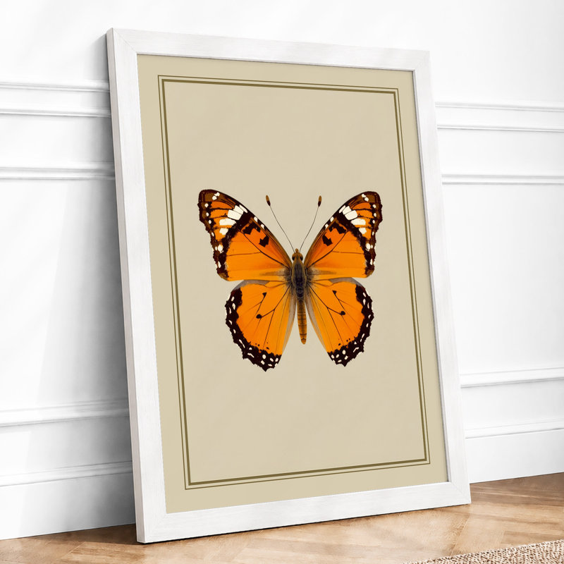 Orange Butterfly Study Botanical - Print, A3 - 42.0 x 29.7 cm, White
