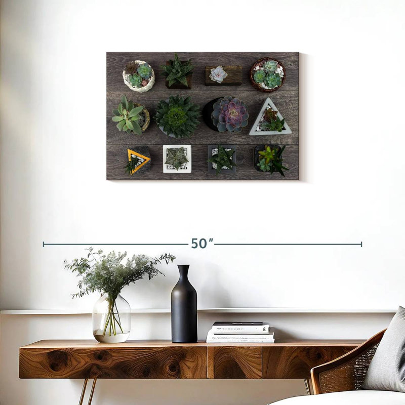 Harnek Assorted Succulents, 20" H x 30" W