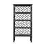 Chippendale Bookcase-17297234