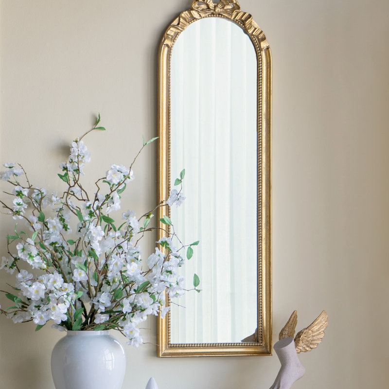 Miroir 15,8 "x 48,8" pleine longueur, 48,83 po x 15,83 po