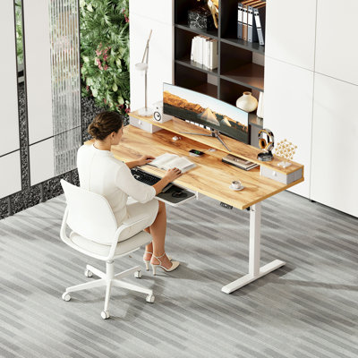 48 Inch Electric Standing Desk with 2 Drawers & Keyboard Tray, Adjustable Home Office Desk Ergonomic Sit to Stand Computer Desk with Hooks for Gaming & Work,Light Rustic Brown