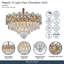 Regalia 13-Light Chandelier