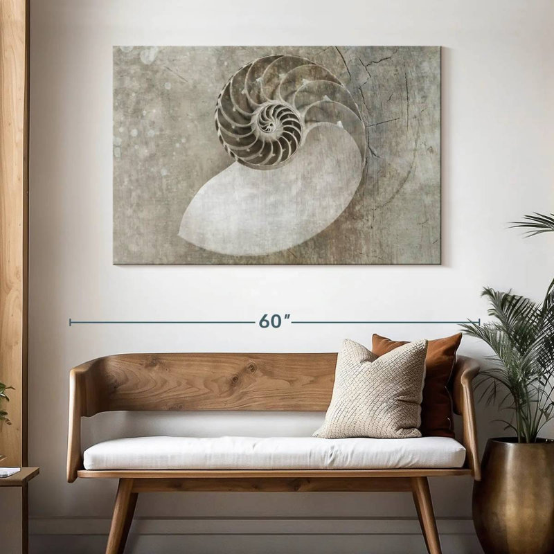 Spiral seashell Aletra, H 32 po x l 48 po