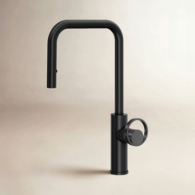 AllModern Linwood Pull Down Kitchen Faucet