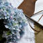 Anastasija Arrangement-2007087557