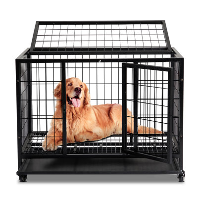 Cage pour chien cage pour chien pour grands chiens, parc pour animaux 36 po robuste pour l'entraînement intérieur / extérieur avec plateau en plastique, portes doubles et verrou sécuritaire
