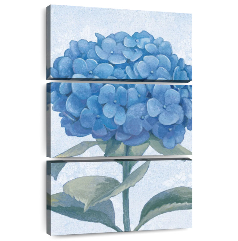 Hortensia bleu Harnek II, H 38 po x l 24 po