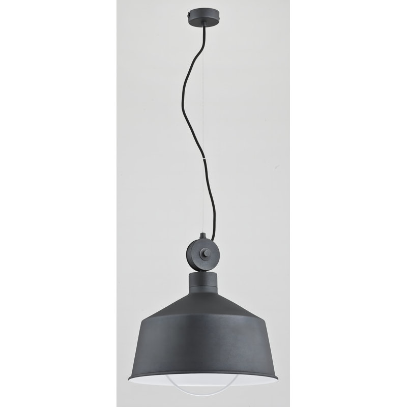 Annaka 1 - Light Dome Pendant