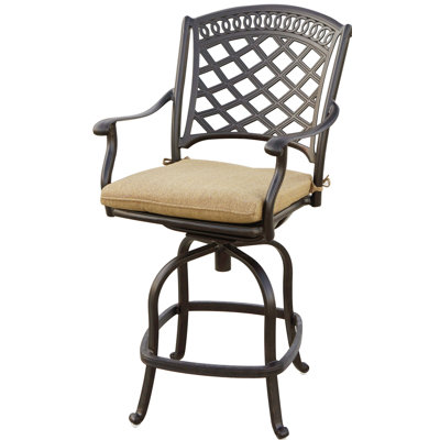 Lenahan Metal Outdoor Stool with Cushion