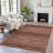 Machine Washable Indoor/Outdoor Xhevrie Paprika Rug-111825583
