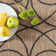 Concetta Indoor / Outdoor Rug