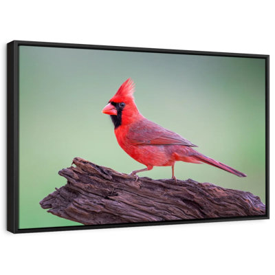 "Cardinal sur bois, art mural"