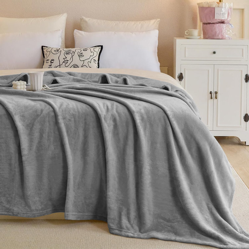 Couverture réversible en fausse fourrure de peluche vison, Simple (60 po x 80 po), Argent argent