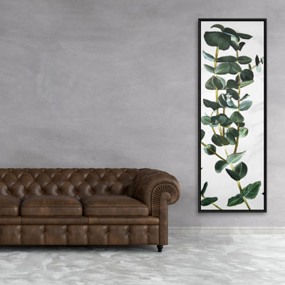 " Eucalyptus Stems "