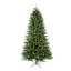 Vickerman Colorado Spruce Artificial Christmas Tre 144' H Artificial Spruce Christmas Tree