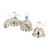 Polished Nickel