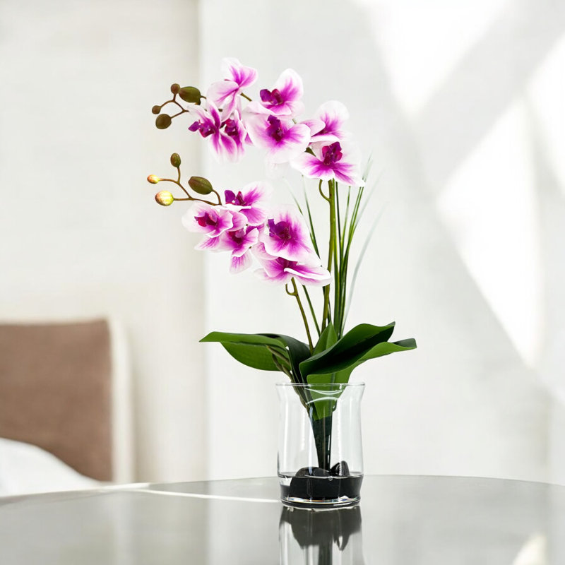 Double orchidée phalaenopsis, arrangement floral, Rose ombragé