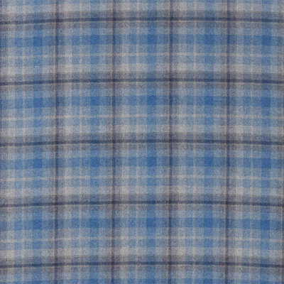 Samphrey Check Fabric