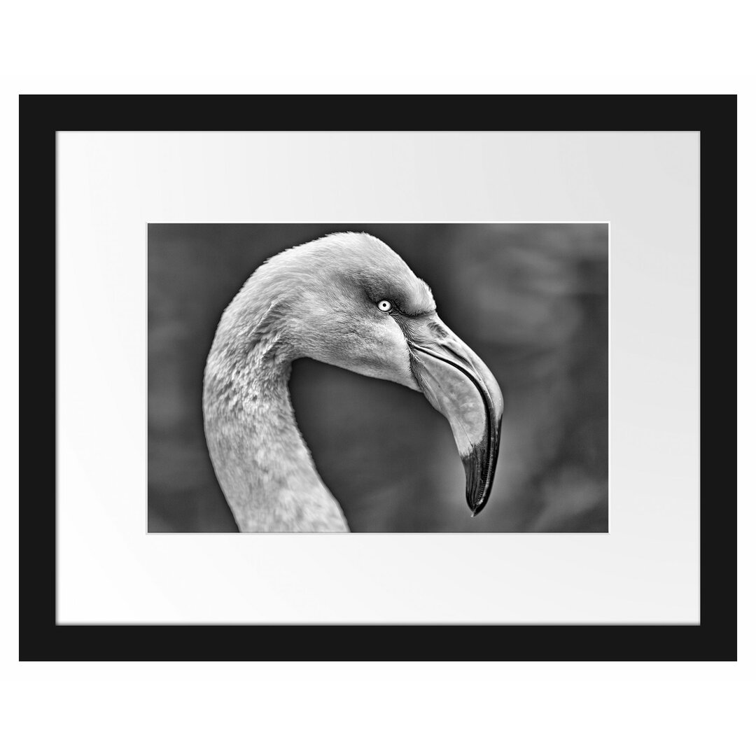 Gerahmtes Poster Flamingo im Seitenprofil