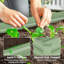 Planter-323574949
