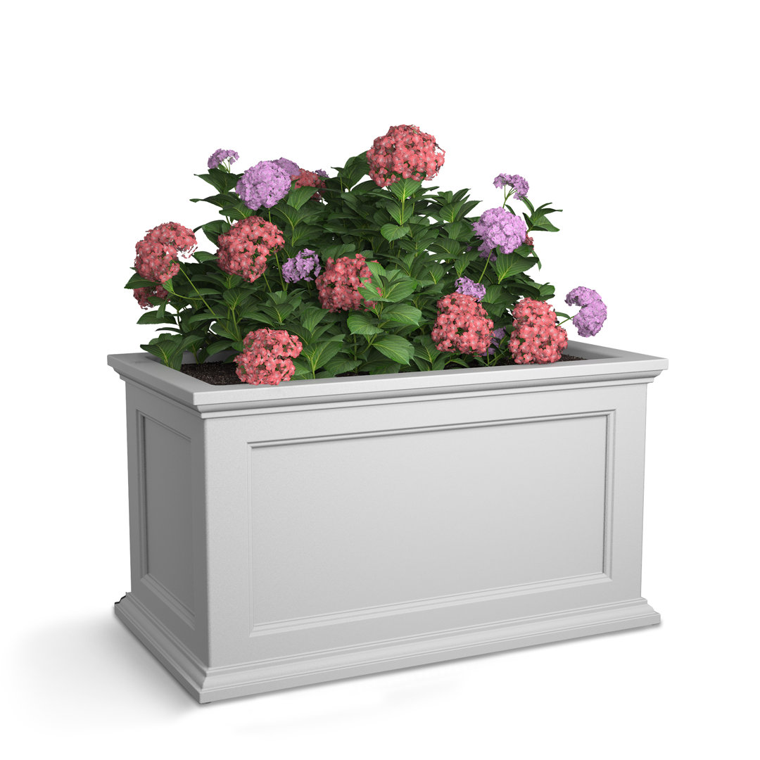 Anastasiya 20"x36" Resin Planter with Water Reservoir Winston Porter 