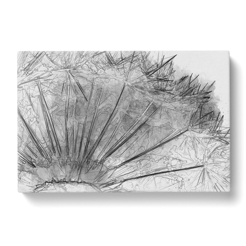 Dandelion Seed Sketch In Abstract - Wrapped Canvas Print, 50cm H x 76cm W x 3cm D