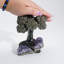 Medium - Pyrite Clustered Gemstone Tree on Amethyst Matrix (Tree of Confidence)