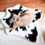  Tapis classique Puprug-1257351640-1257351642