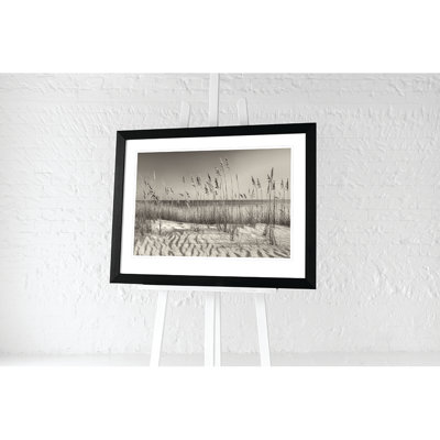 Dune Grass by Dennis Frates - Single Picture Frame Print
