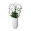 Orchid and Allium Arranged in Planter