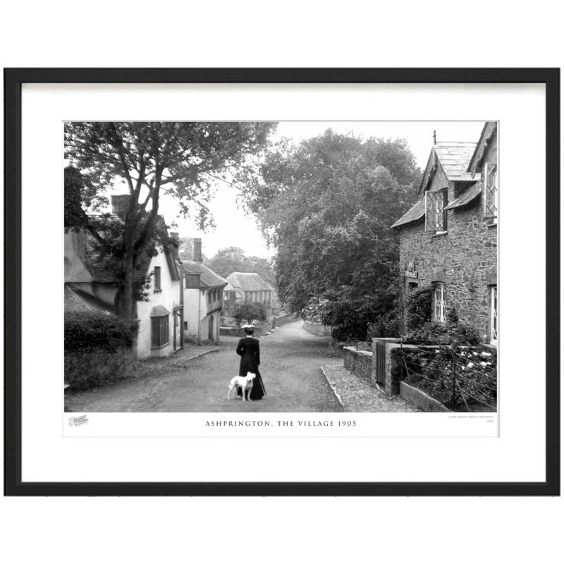 Ashprington, The Village 1905 - Single Picture Frame Print, 60cm H x 80cm W x 2.3cm D