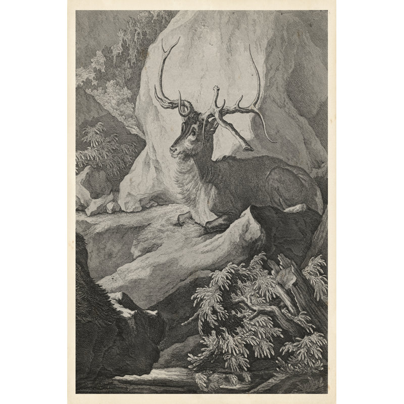 Woodland Deer VIII - Wrapped Canvas Print, 46cm H x 30cm W x 3.8cm D