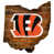Cincinnati Bengals
