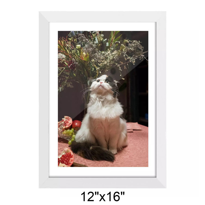 Cadre photo en bois massif Hillmont, 12 po x 16 po