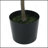 180CM ARTIFICIAL MILAN LEAF BONSAI-1541953067