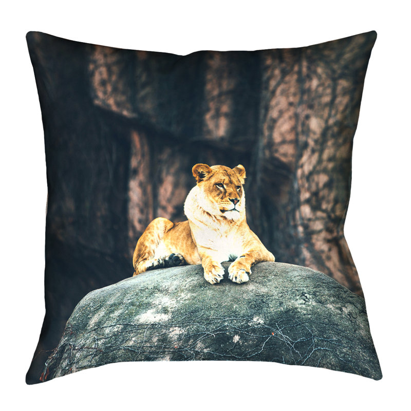 Austin Neill Cotton Reversible Pillow Cover, 14" x 14"