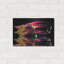«Columbine Reflection» par Pamela Plummer-109434970
