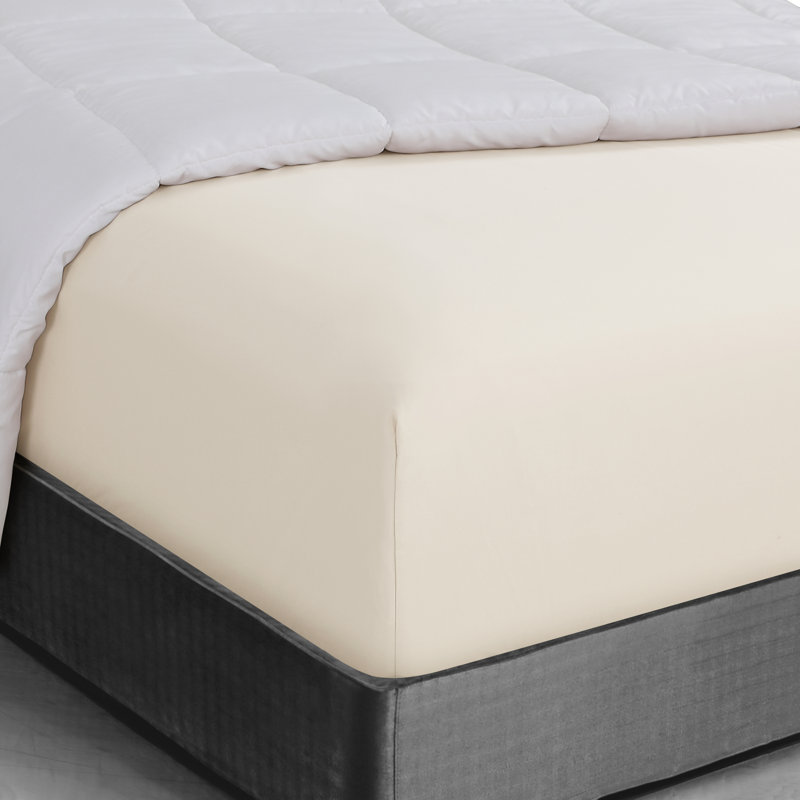 Drap-housse en microfibre douce Wayfair Basics® 1800 Series, Drap-housse grand, Lait de coco