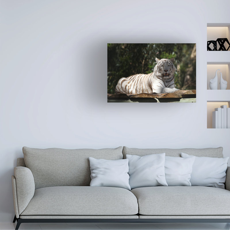 Art sur toile, Bob Bob Langrish, H 12 po x l 19 po
