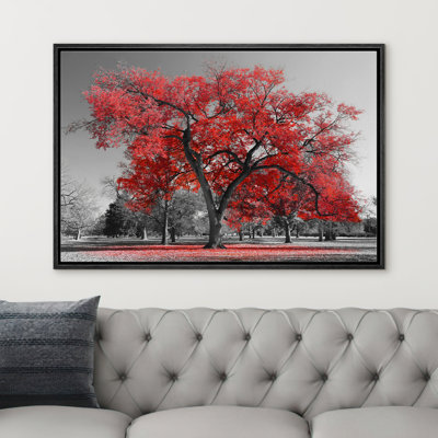 Forest Landscape " Red Tree Against Black And White Background Park "