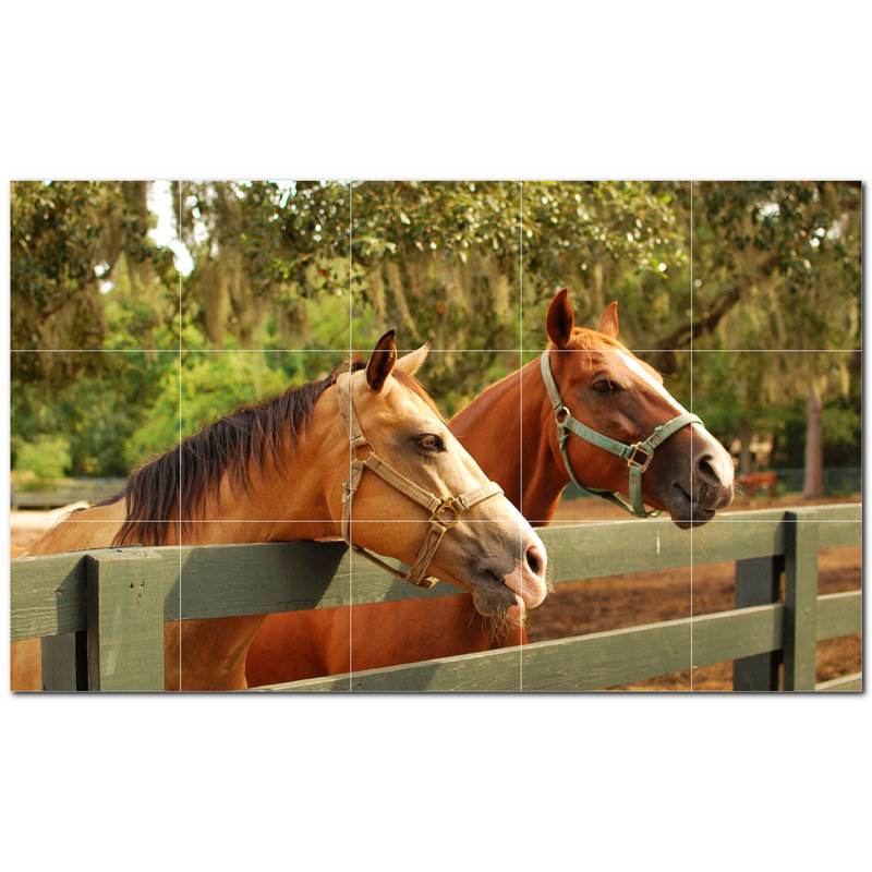 Photo de cheval 12 x 12