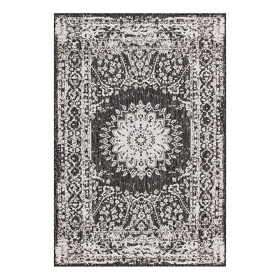 Ornate Lamotte Indoor/Outdoor Area Rug