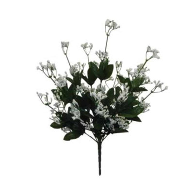 Buisson de bébé