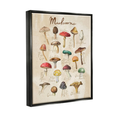 «Vintage Mushroom Types Diagram» par Amylee Week, impression