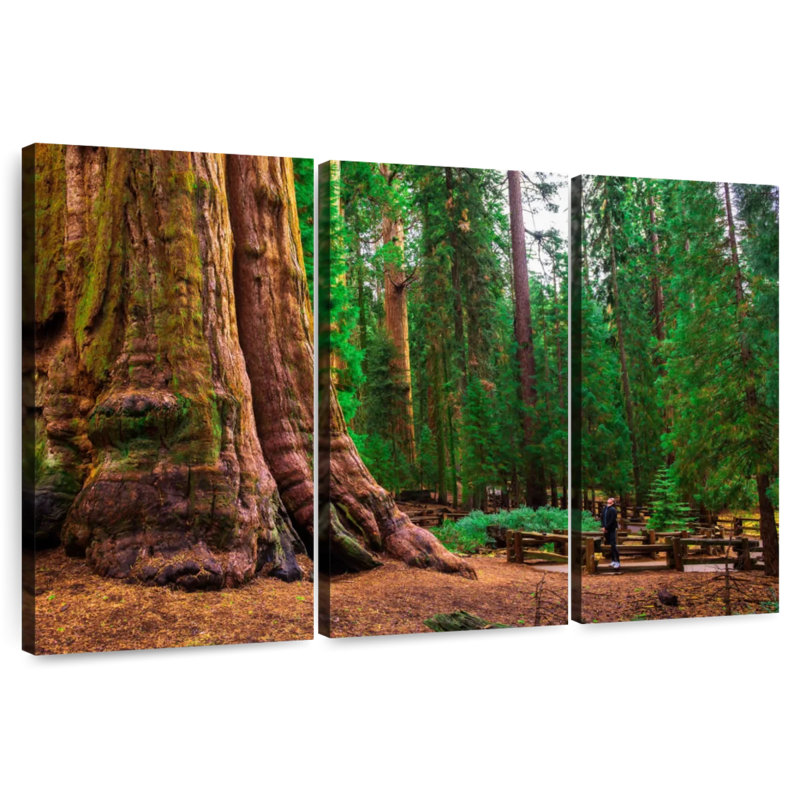 Redwood Harnek, H 20 po x l 33 po