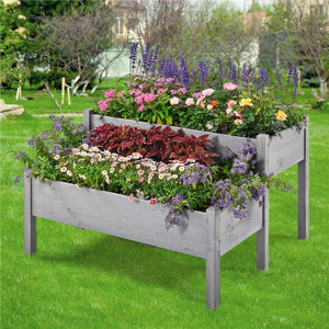 Lark Manor Aadhira Wood Elevated Planter & Reviews | Wayfair