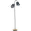Suraiya 160cm Matte Task Floor Lamp
