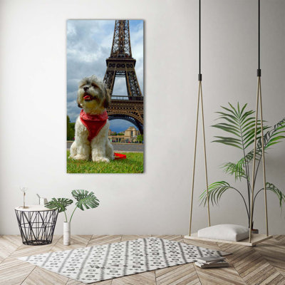 Dog In Paris - Wrapped Canvas Print