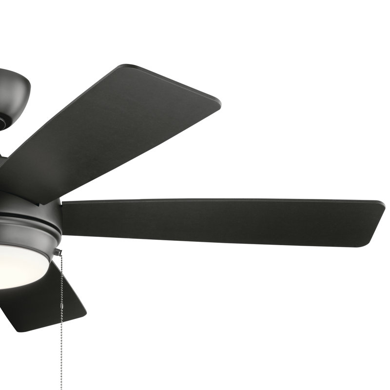 Starkk 52'' Ceiling Fan with LED Lights